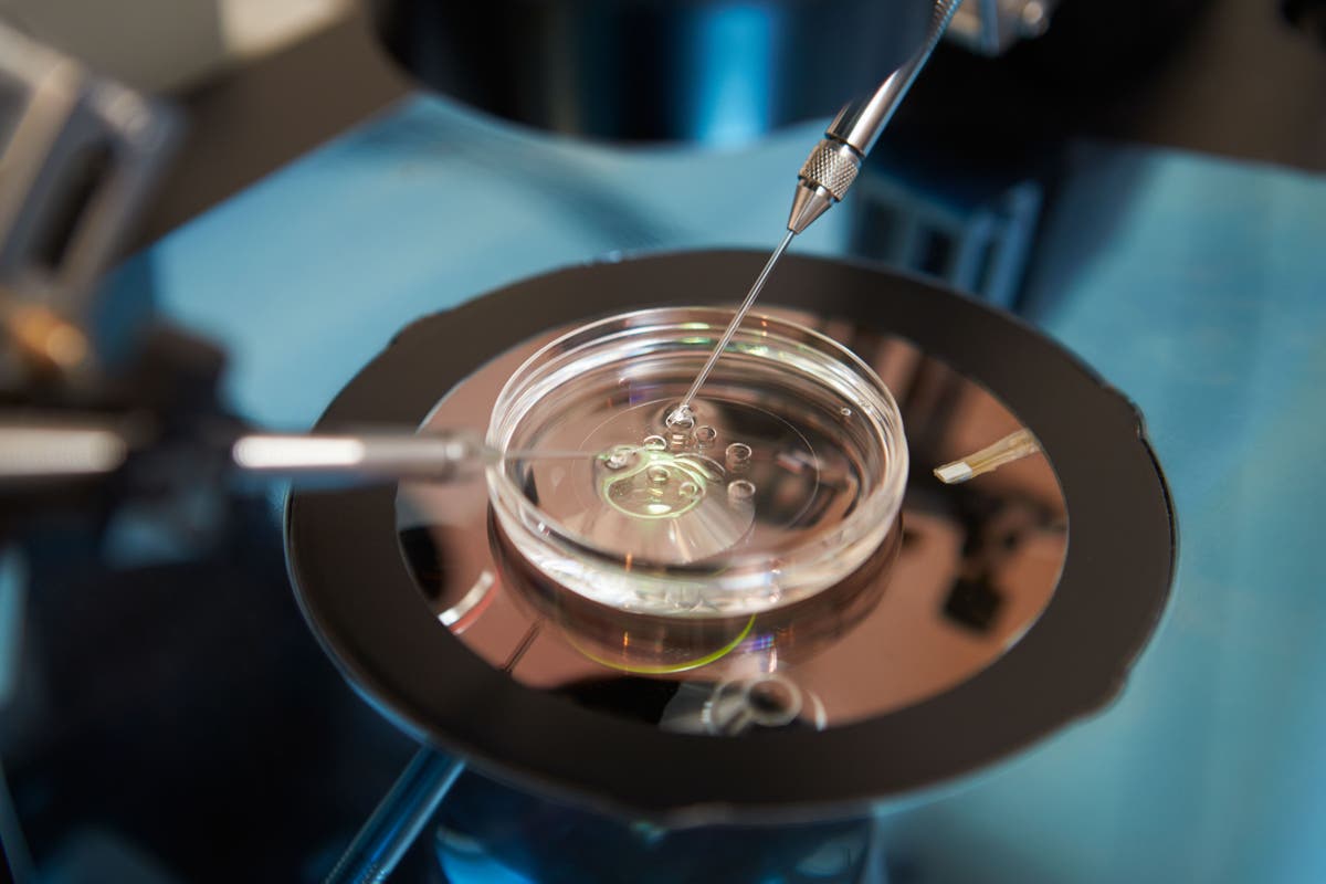 NHS patients faced bigger IVF delays during Covid than those paying privately
