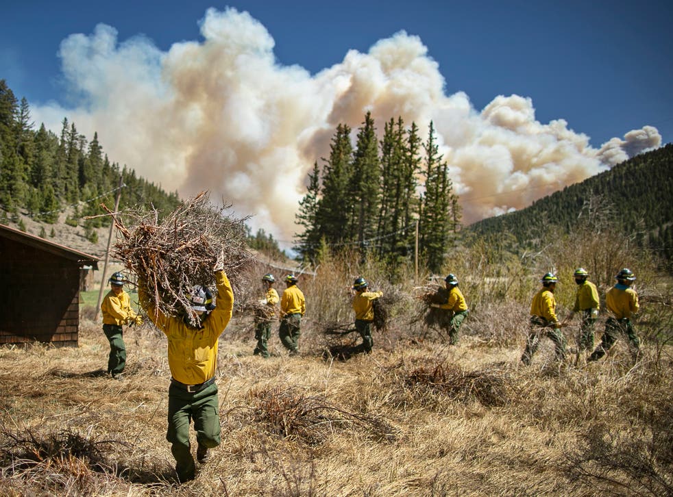 <p>Firefighters clear brush and debris away from cabins along Highway 518 near the Taos County line in New Mexico  </p>