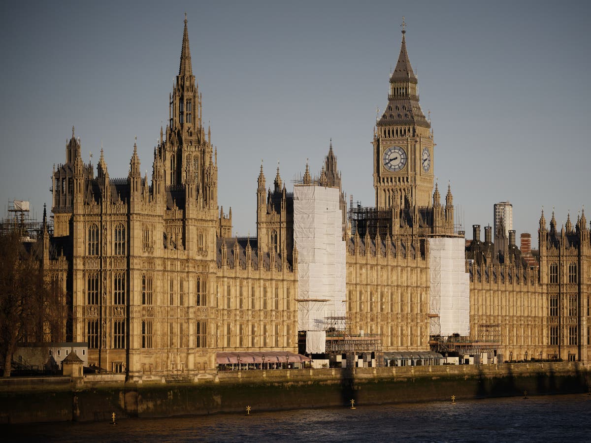 Fears for victims as parliament sleaze probes take up to two years