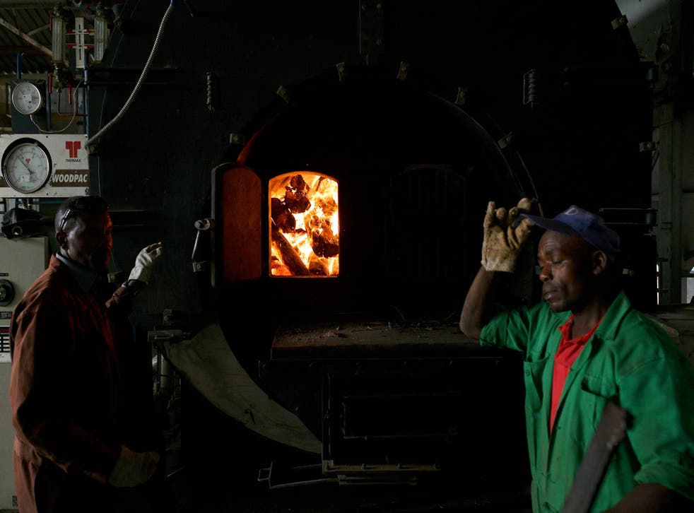 <p>Factory workers recharge a kiln with firewood in Nyeri County, Kenya </p>
