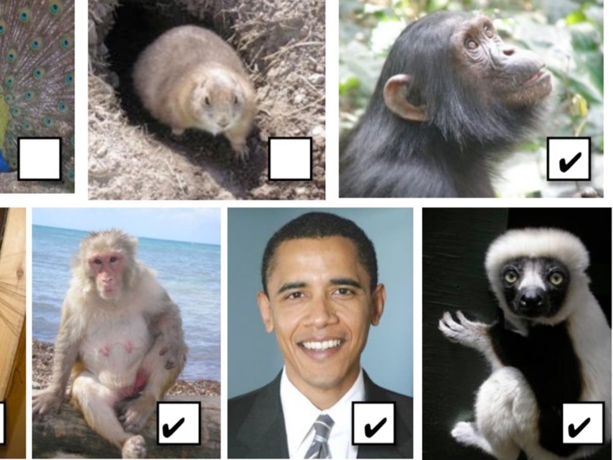 Teacher placed on leave after using photo of Obama in assignment about primates