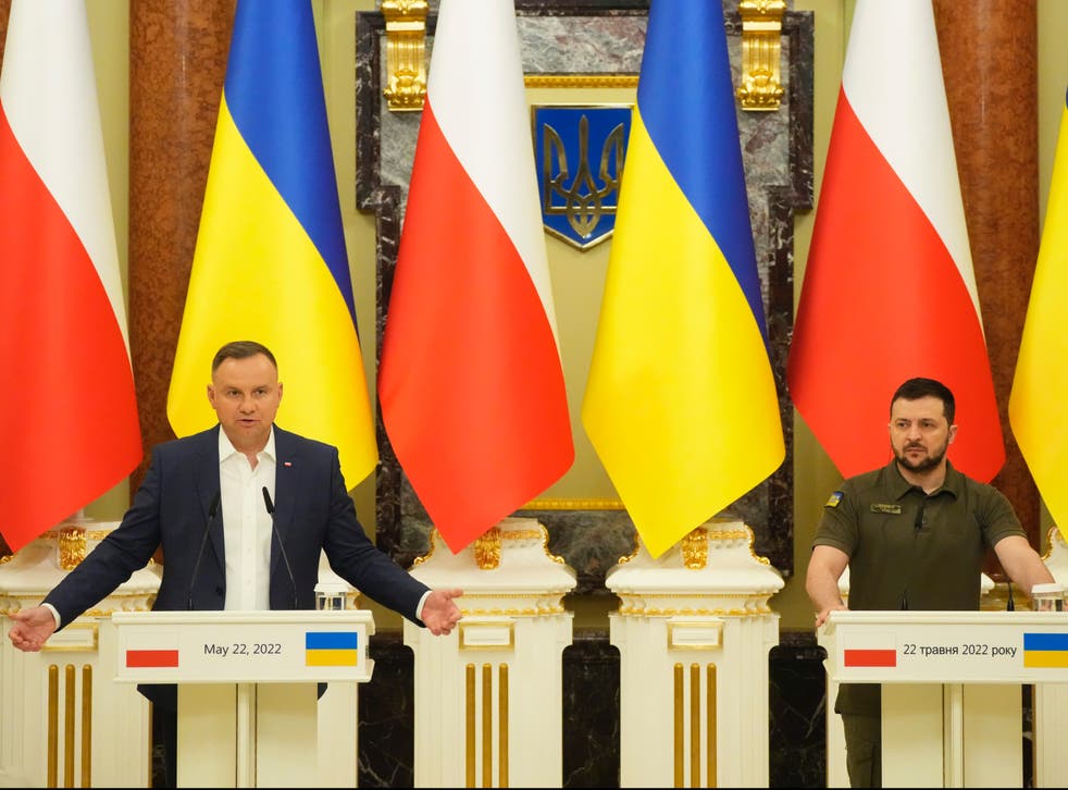 <p>Andrzej Duda and Volodymyr Zelensky </p>