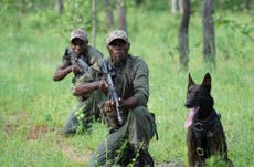 Poachers jailed for 189 years thanks to specialist wildlife dog unit in Zimbabwe