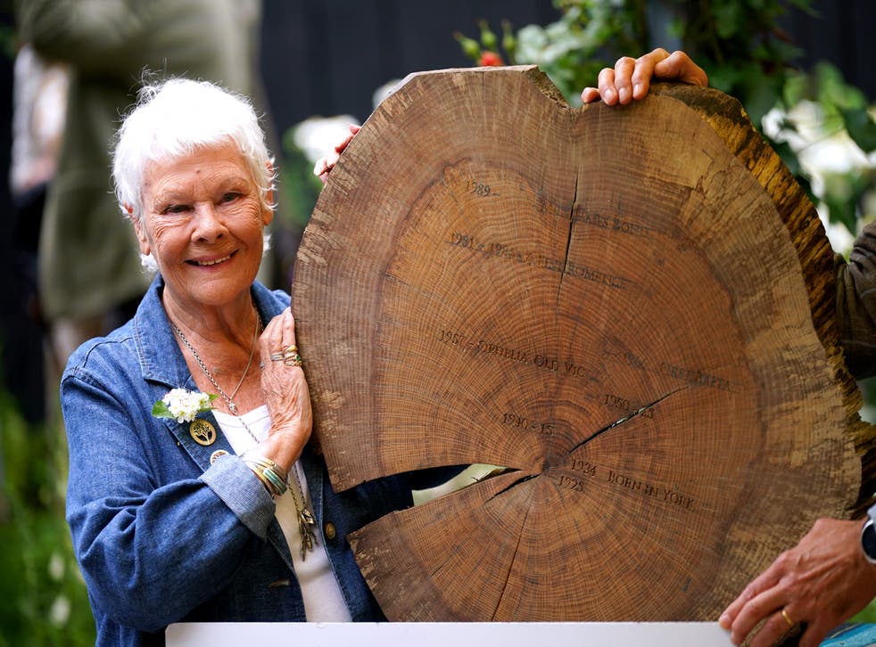 Dame Judi Dench displays a timber round with key dates from her life and career carved into it at the Gaze Burvill trade stand after launching the new Woodland Heritage campaign (Yui Mok/PA)
