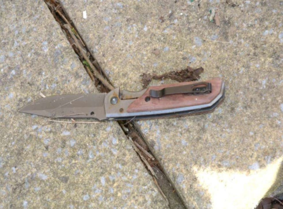 <p>The knife used in the fatal attack </p>