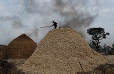 India to limit sugar exports to meet domestic demand
