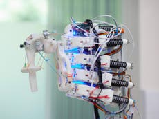 Humanoid robots grow human tendon tissue