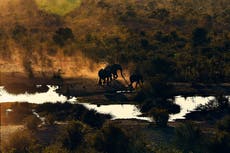 Water crisis fuelling human wildlife conflict in Zimbabwe
