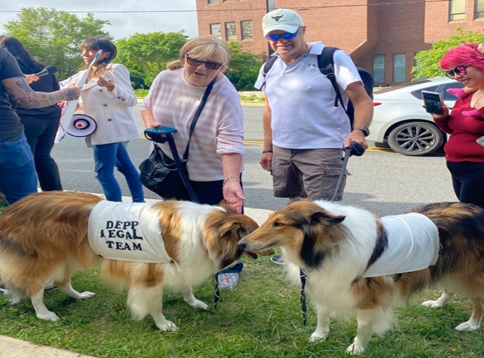 <p>Robin and Randy Naler dressed their dogs as ‘Depp legal team’ </p>