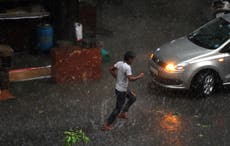 Freak Delhi thunderstorm kills three, uproots trees and brings traffic to a halt