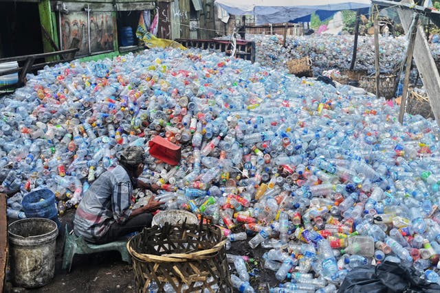 A worker collects plastic bottles to sell at a dump site in Banda Aceh