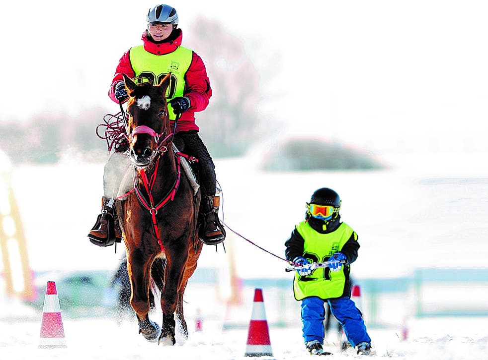 <p>Horse-related winter sports draw both adults and children</p>