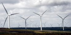 Power firm windfall tax could ‘jeopardise’ cutting bills and carbon – Energy UK