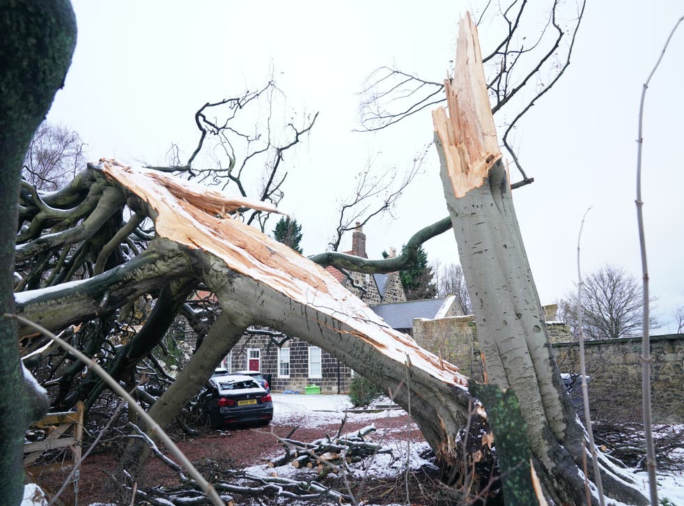 Storm Arwen caused severe damage when it hit the UK in November (Owen Humphreys/PA)