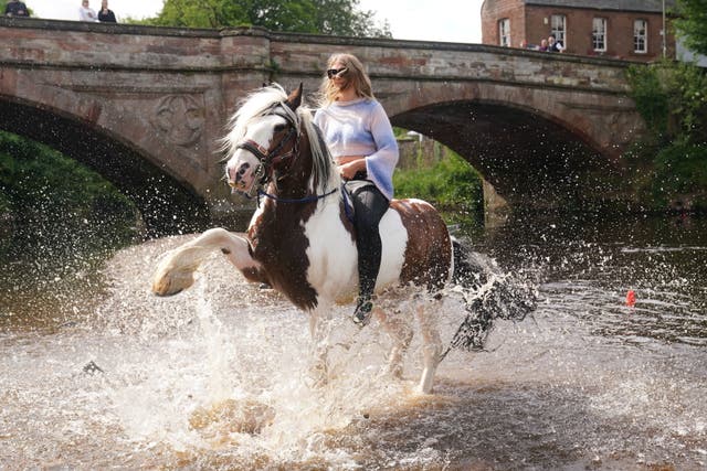 Un voyageur monte à cheval dans la rivière Eden à l'Appleby Horse Fair, le rassemblement annuel des gitans et des voyageurs à Appleby, Cumbrie