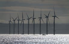 Offshore wind sector will employ almost 100,000 by 2030, report predicts