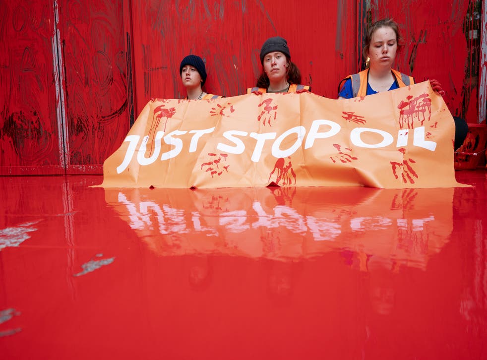 Environmental activists want to see a halt to developments in the North Sea. (ジェーンバーロウ/ PA)