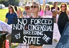 US abortion rise: One in five US pregnancies were terminated in 2020