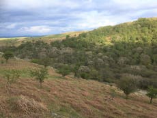Funding to rewild and restore landscapes is ‘essential’, Government warned