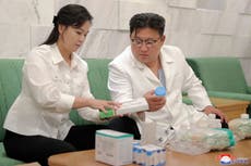 North Korea battling outbreak of unidentified intestinal epidemic after Covid wave