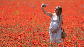 Paige Dawson, 28, prend un selfie avec son baby bump dans un immense champ de coquelicots en fleurs à Bramford, Suffolk
