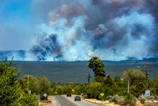 US adds $103M for wildfire hazards and land rehabilitation
