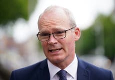 Partnership not provocation needed for NI Protocol negotiations, warns Coveney