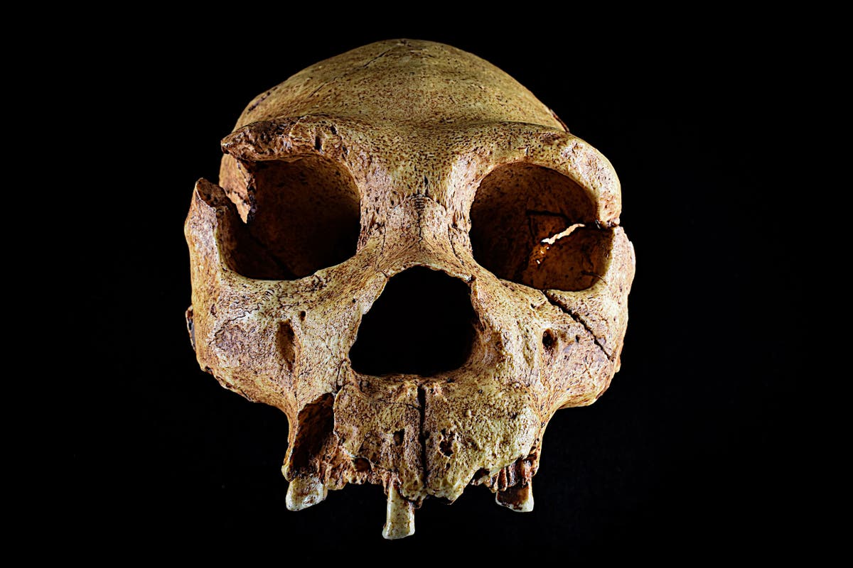 Canterbury suburbs home to some of Britain’s earliest humans, study finds