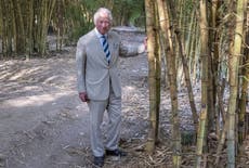 ‘I feel slightly bamboozled,’ quips Charles after posing among bamboo trees