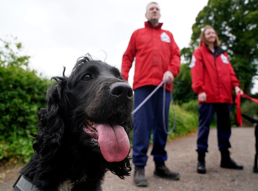 John Miskelly with his dog Bramble alongside team member Emma Dryburgh and her dog Dougal (Andrew Milligan/PA)