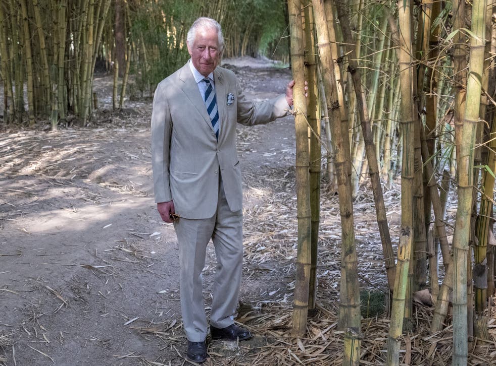 The Prince of Wales in Rwanda (Arthur Edwards/The Sun)