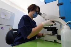 Female scientists are not getting the authorship they deserve, 調査結果