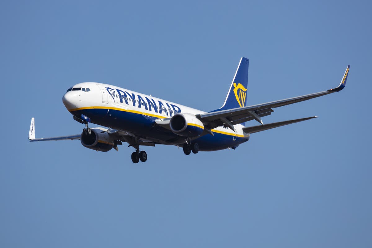 Ryanair plane has near-miss with light aircraft over Mallorca