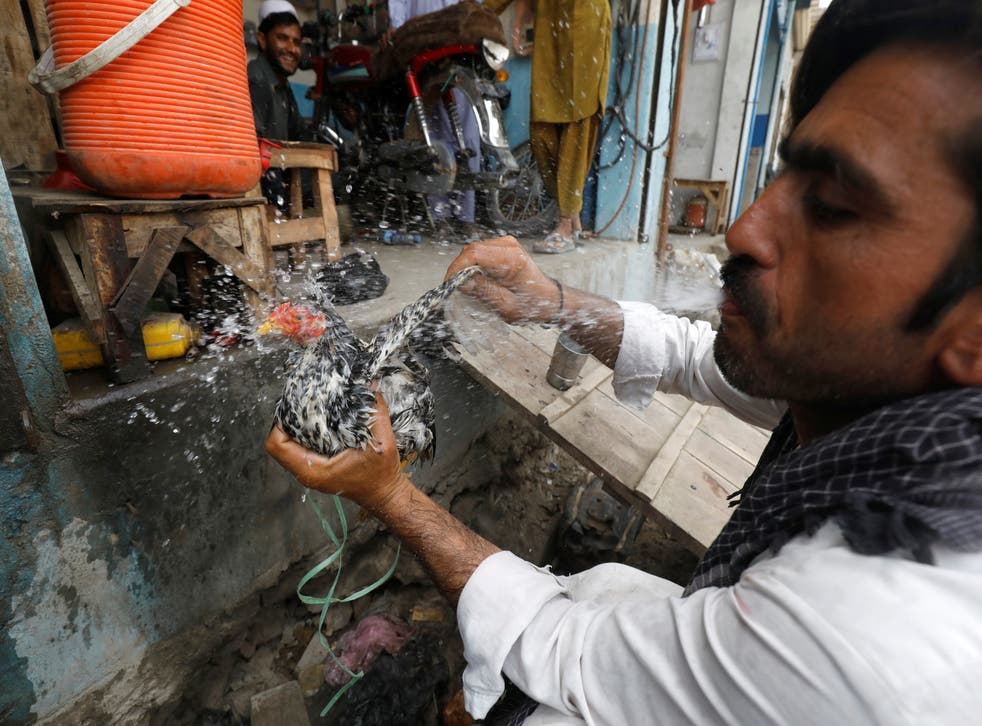 <p>Gulam Mohammad, 37, a vegetable seller, sprays water from his mouth to cool off his chicken</p>