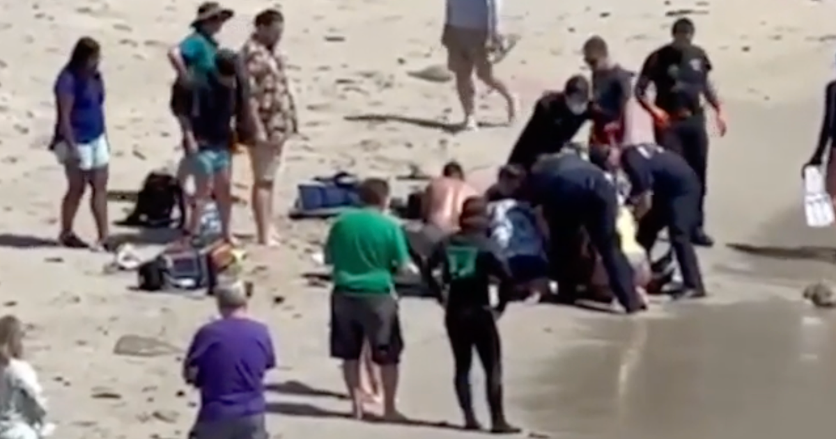 Dramatic footage shows California teacher being dragged to shore after shark attack