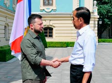 VERKLARER: Why Indonesia's leader is visiting Kyiv, Moskou