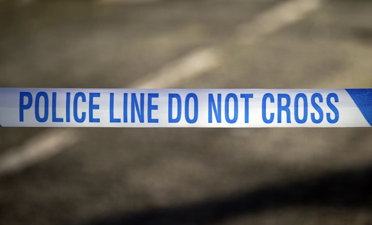 Two men arrested over fatal stabbing in west London