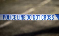 Two men arrested over fatal stabbing in west London