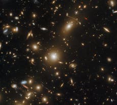 見て: The Hubble telescope reveals of luminous sea of galaxies 
