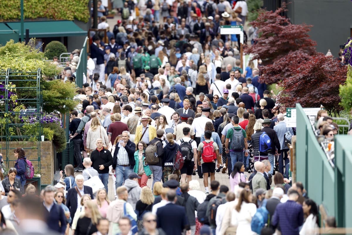 Wimbledon attendance down 11% 上 2019