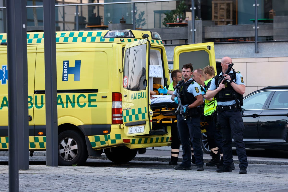 Several people shot at Copenhagen shopping mall, polícia diz