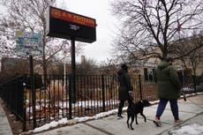 Neighbourhoods with more dogs have lower crime rates, studie suggereer