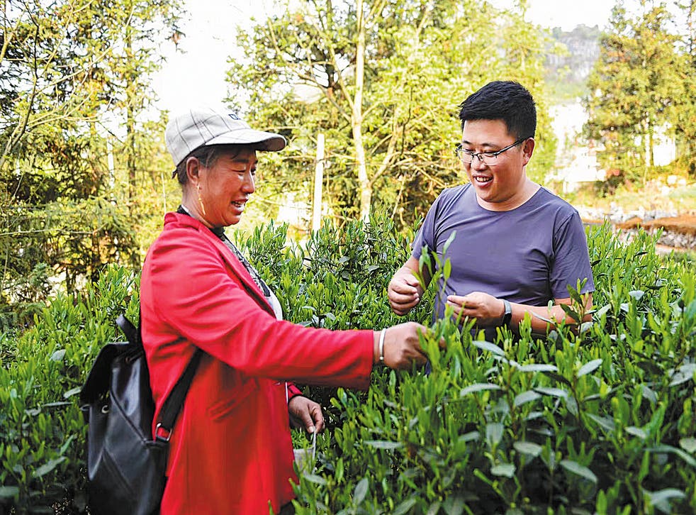 <p>Fan Hongjing (正确的) talks to a villager on his plantation   &磷t;/p>