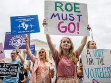 ロー対ウェイド事件: UK anti-abortion activists use US reversal to build support 