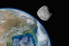 Nasa says it was ‘completely wrong’ in its predictions about asteroid Bennu