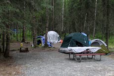 4 bears killed in Alaska campground reserved for homeless