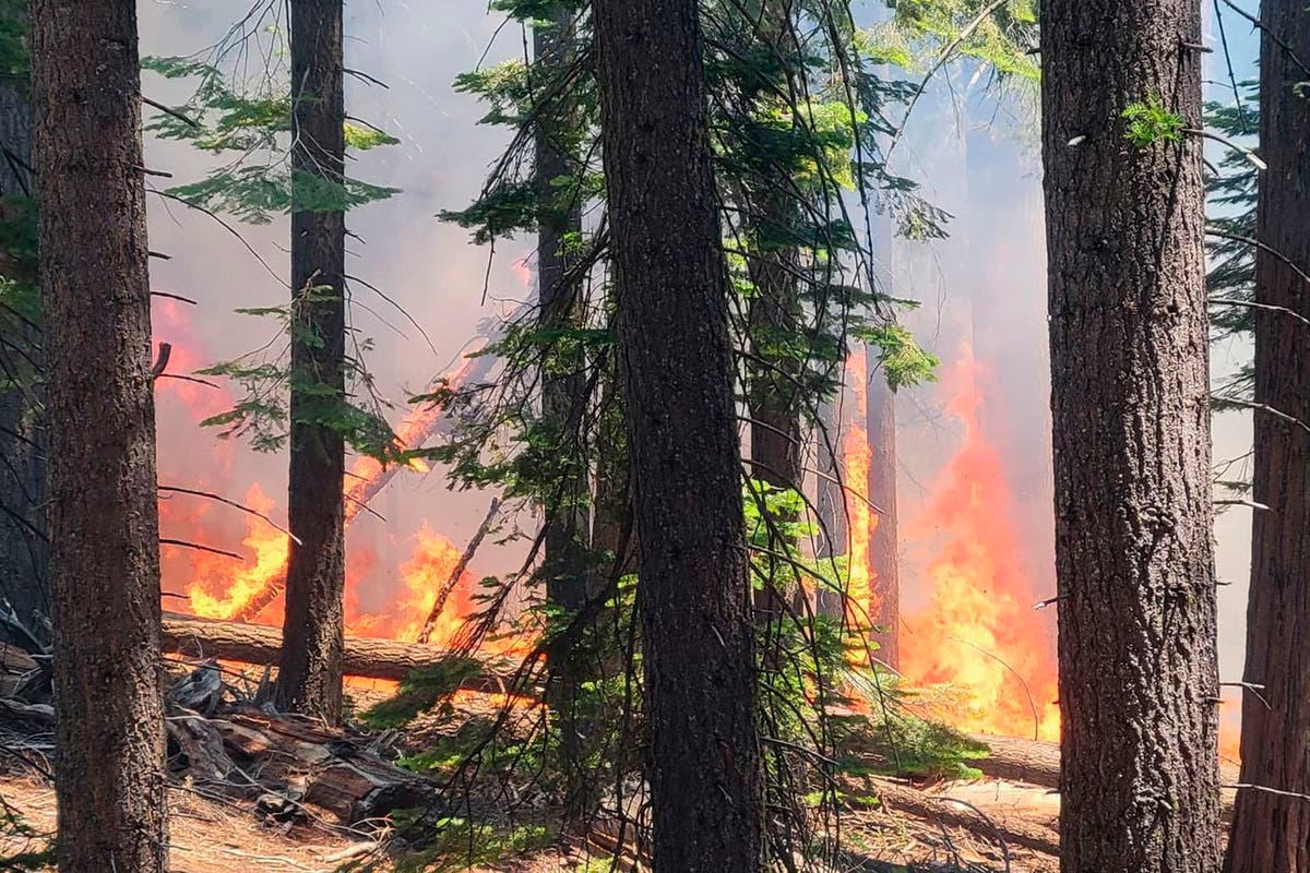 Wildfire rages near Yosemite grove of giant sequoia trees