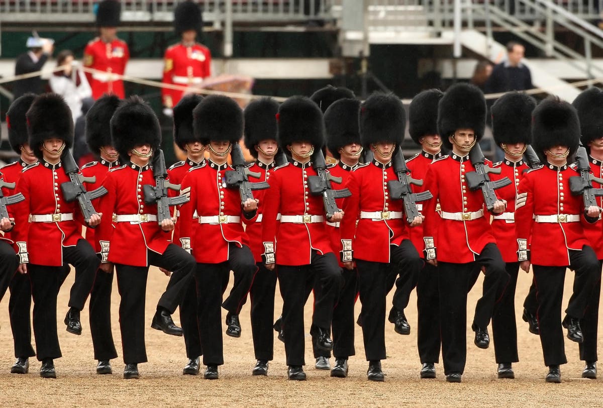 MPs: End barbaric killing of bears and change Queen’s Guard caps to faux fur