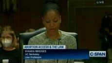 Law professor warns 'forced birth is violence' in Senate abortion hearing