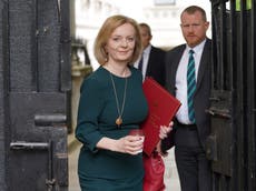 Liz Truss vows to halt green levies as fears grow over Tory net zero promise